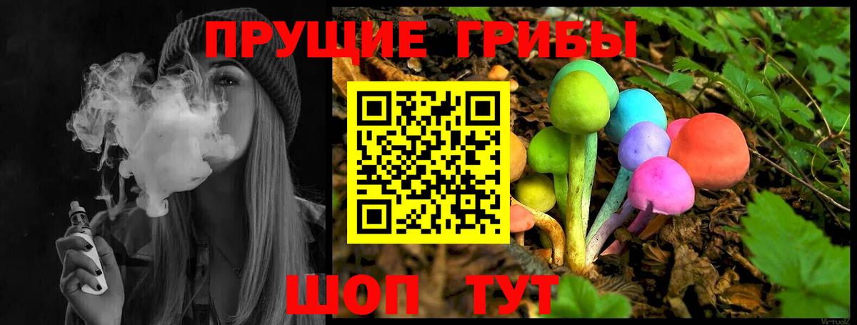 Галлюциногенные грибы MAGIC MUSHROOMS  дарнет шоп  Гусь-Хрустальный  Вход с VPN 
