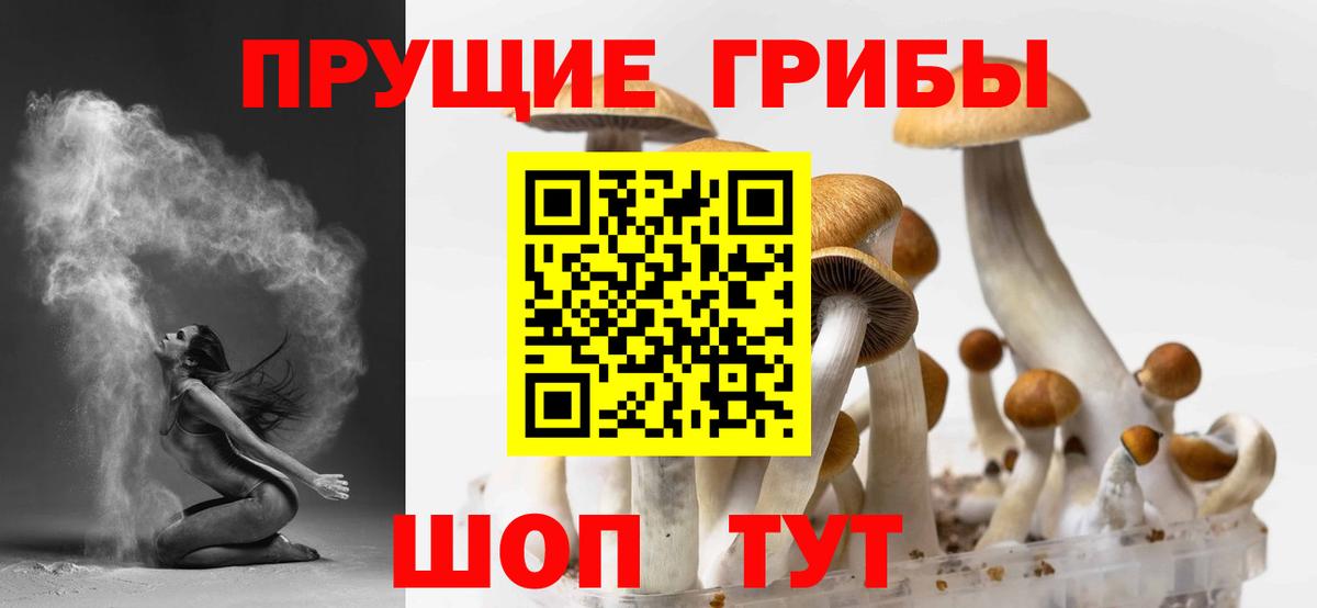 Псилоцибиновые грибы Psilocybe Гусь-Хрустальный